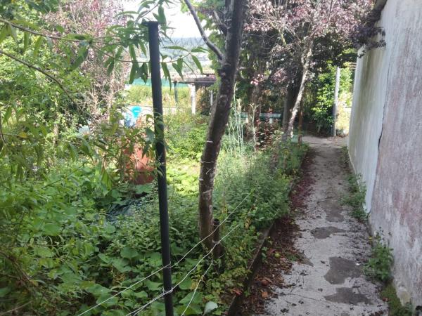 Terreno en calle Cangrexeiras, 5