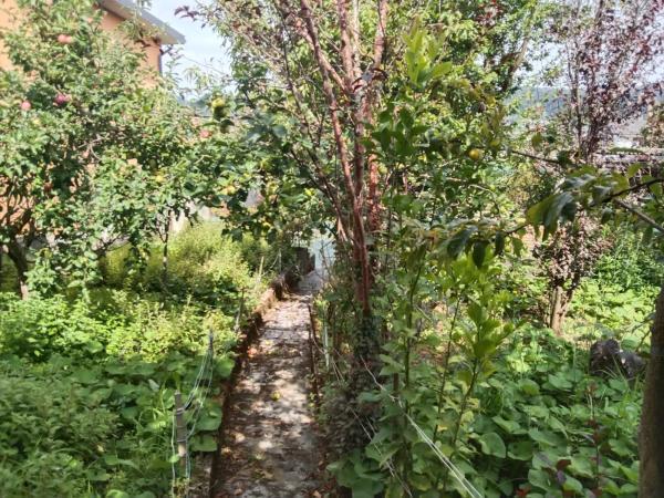 Terreno en calle Cangrexeiras, 5