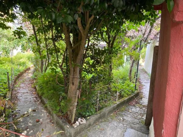 Terreno en calle Cangrexeiras, 5