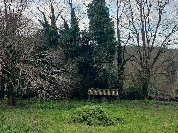 Terreno en camino inglés s/n