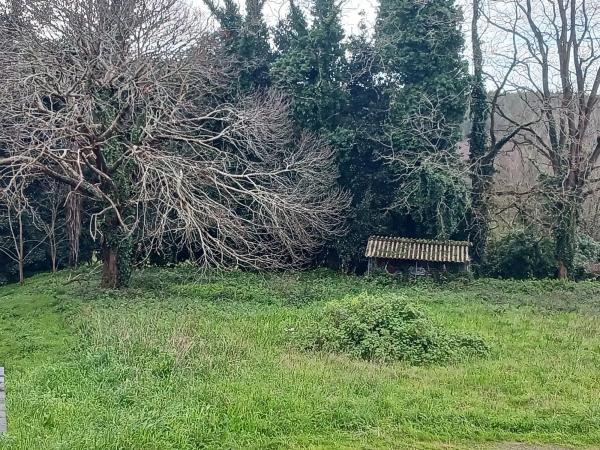 Terreno en camino inglés s/n