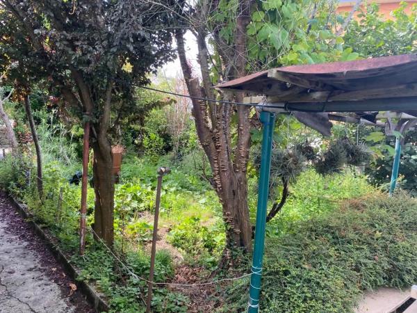 Terreno en calle Cangrexeiras, 5