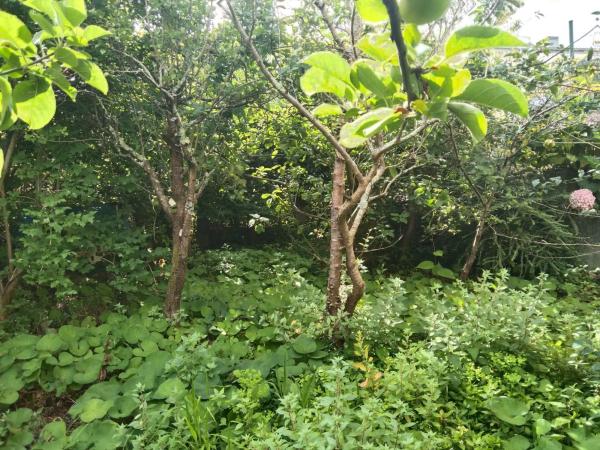 Terreno en calle Cangrexeiras, 5