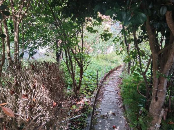 Terreno en calle Cangrexeiras, 5