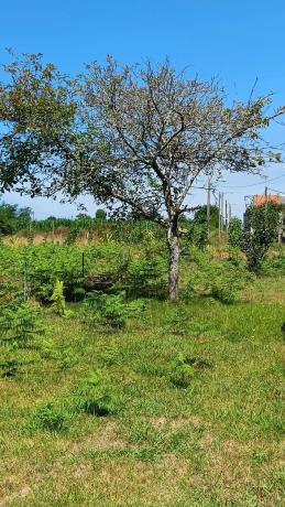 Terreno en calle Galiñeiro, 35