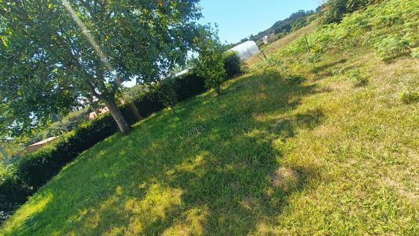 Terreno en calle Galiñeiro, 35