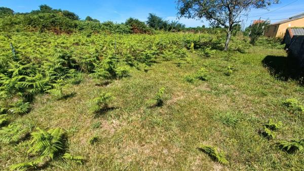 Terreno en calle Galiñeiro, 35