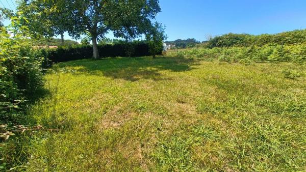 Terreno en calle Galiñeiro, 35