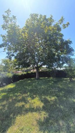 Terreno en calle Galiñeiro, 35