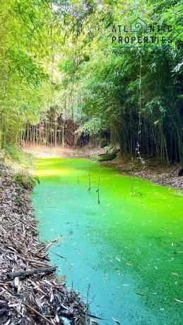 Terreno en Lugar Barracido, 2