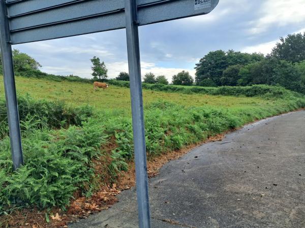 Terreno en calle Areosa