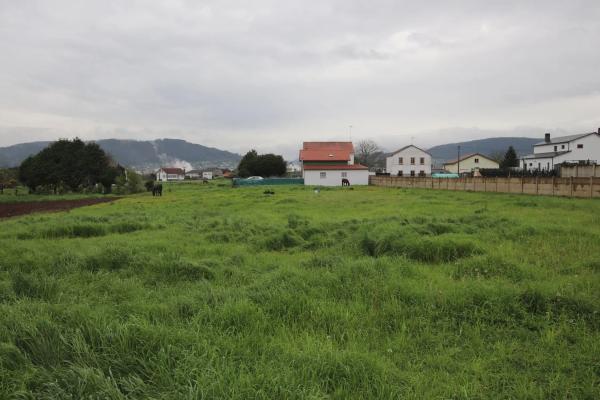 Terreno en Piñeiros-Freixeiro