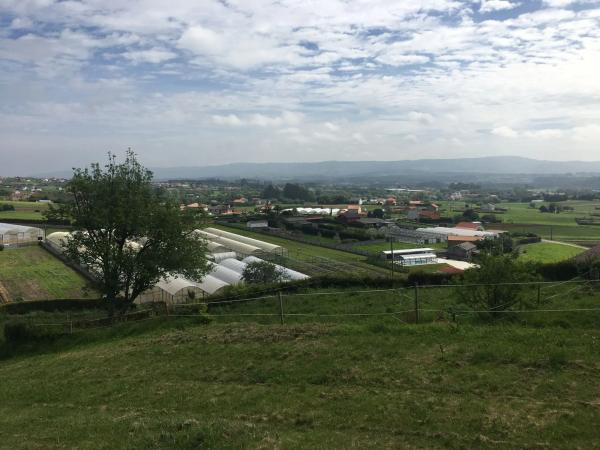 Terreno en Lugar pradedo
