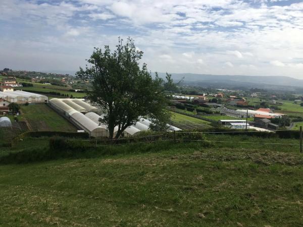 Terreno en Lugar pradedo