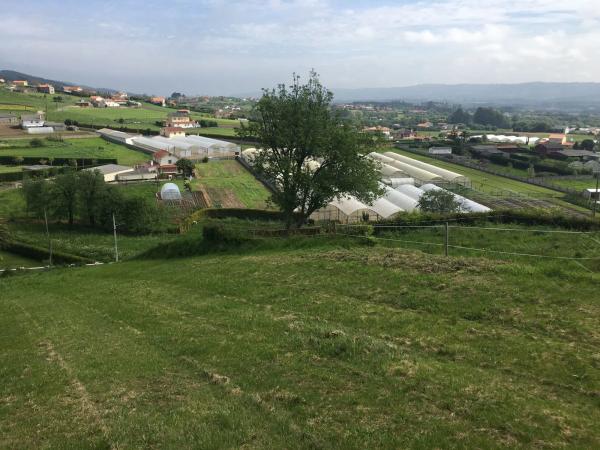 Terreno en Lugar pradedo