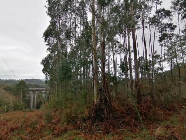 Terreno en Porta do Sol, km 29