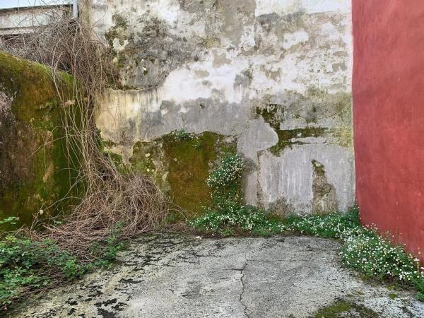 Terreno en Concepción Arenal, 65