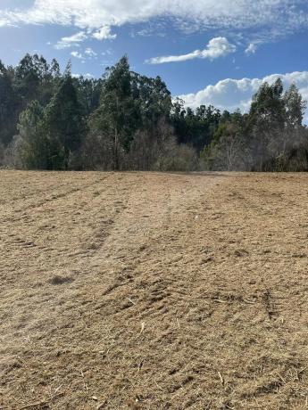 Terreno en calle Leme