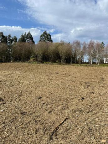 Terreno en calle Leme