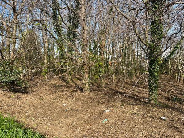 Terreno en Ac-116, 16