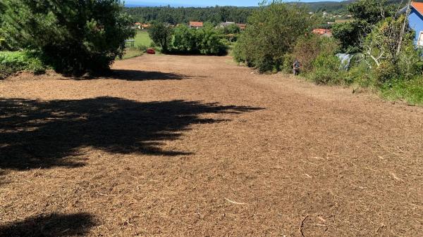 Terreno en carretera Fe-12 s/n
