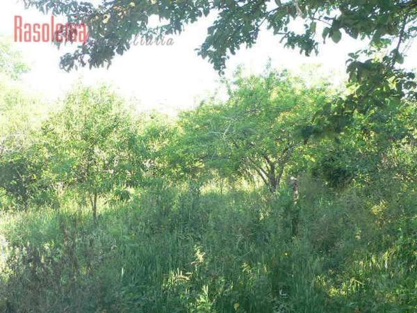 Terreno en calle Catroventos, 15