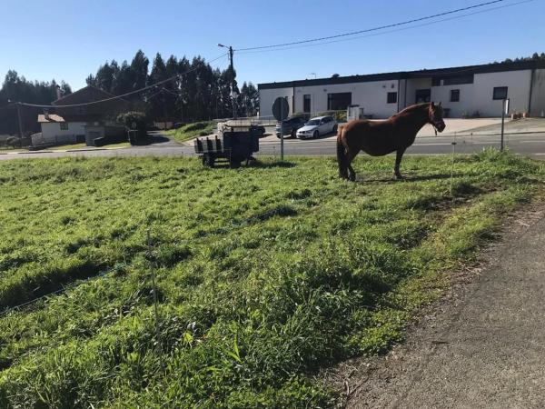 Terreno en Silvalonga s/n
