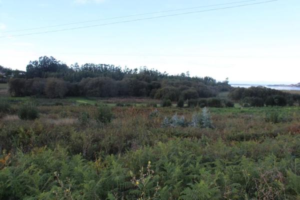 Terreno en C-646, 12