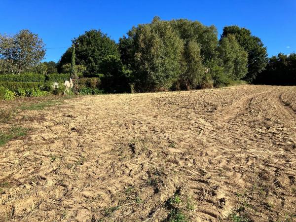 Terreno en Pallizo, 1