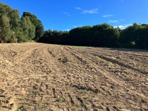Terreno en Pallizo, 1