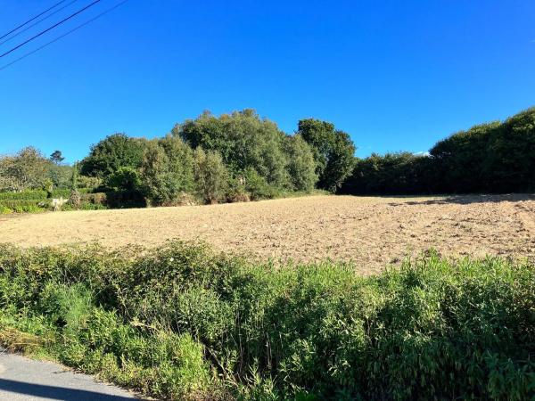 Terreno en Pallizo, 1