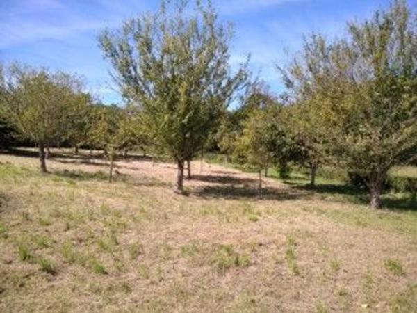 Terreno en calle Fonte Grande s/n