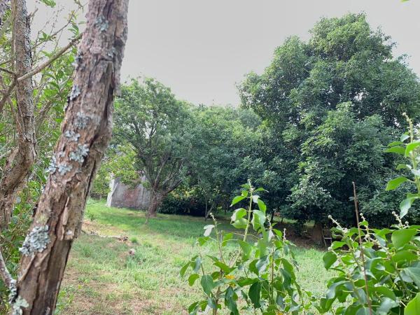 Terreno en camino Laxeiro, 8