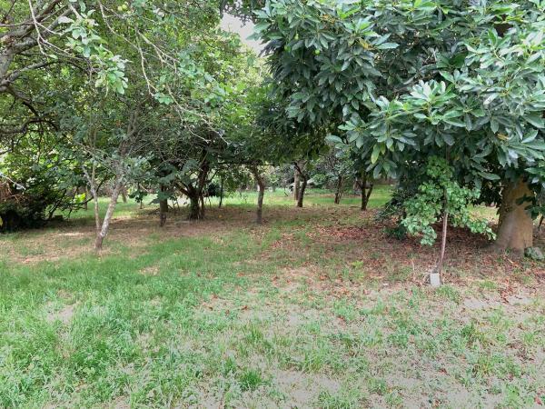 Terreno en camino Laxeiro, 8