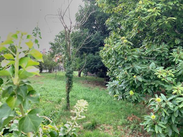 Terreno en camino Laxeiro, 8