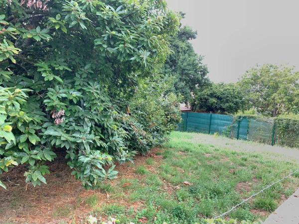 Terreno en camino Laxeiro, 8