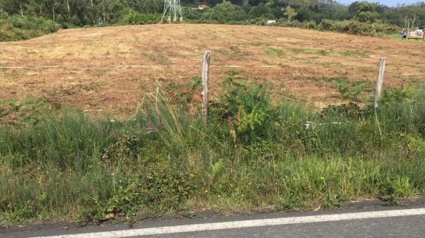 Terreno en Lugar de Bardaos s/n