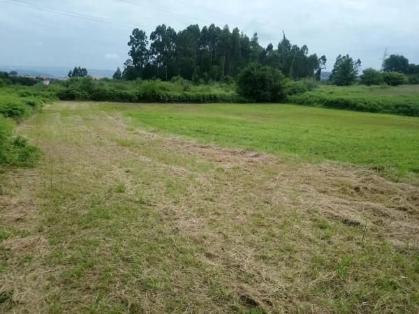 Terreno en calle Franza de Arriba, 3