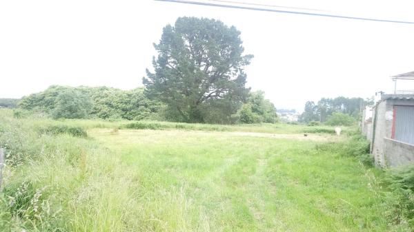 Terreno en calle Chousa, 71