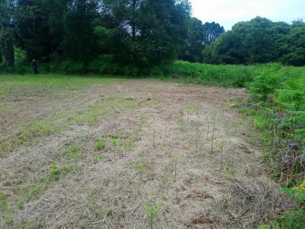 Terreno en calle Franza de Arriba, 3