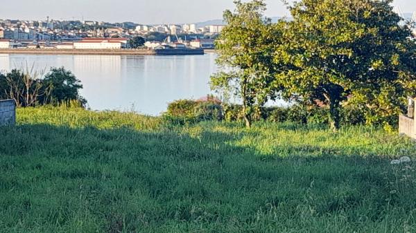 Terreno en calle Xesteira, 15