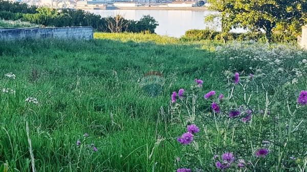 Terreno en calle Xesteira, 15