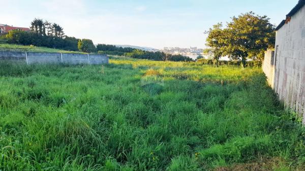 Terreno en calle Xesteira, 15