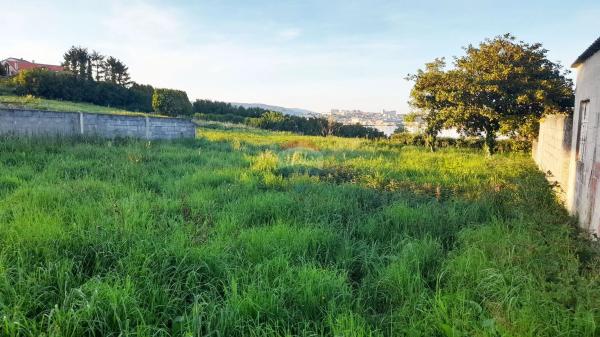Terreno en calle Xesteira, 15