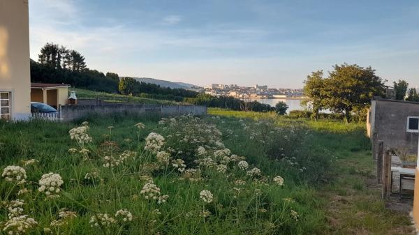 Terreno en calle Xesteira, 15