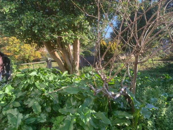 Terreno en avenida marqués de figueroa