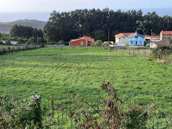 Terreno en Finca En Pantin o Bieiteiro, 3
