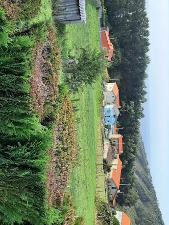 Terreno en Finca En Pantin o Bieiteiro, 3
