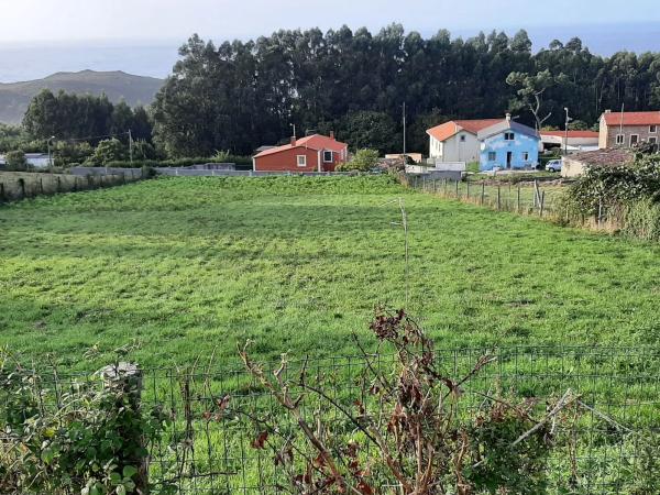 Terreno en Finca En Pantin o Bieiteiro, 3