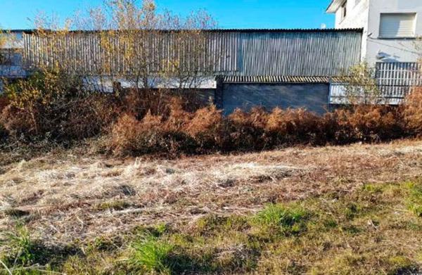 Terreno en camino Betouto